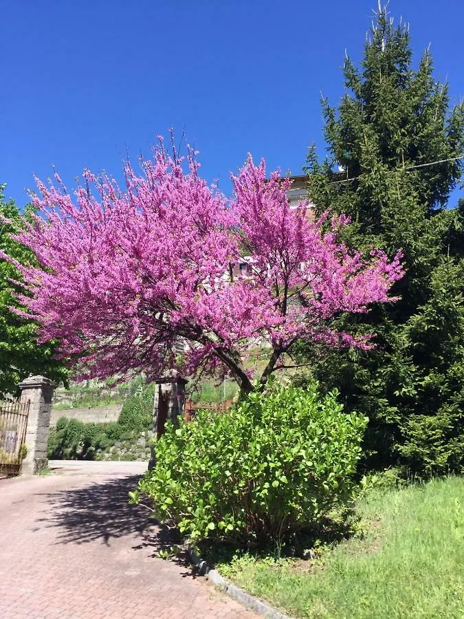 Apartment Como Country House Cavallasca